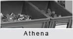 Пластиковые контейнеры Athena